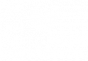 SENSIA SANTÉ LOGO